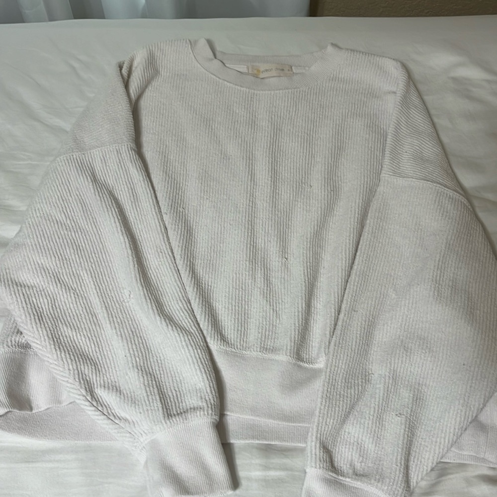 sweatshirt